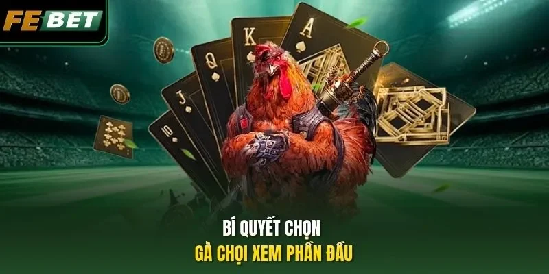 Bí Quyết Chọn Gà Chọi Hay - Từ Xem Tướng Tới Cách Đánh Bí quyết chọn gà chọi xem phần đầu
