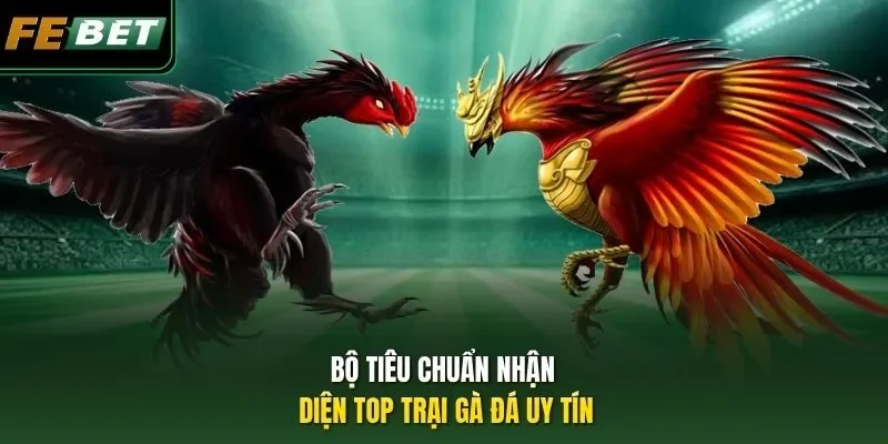 Bộ tiêu chuẩn nhận diện top trại gà đá uy tín