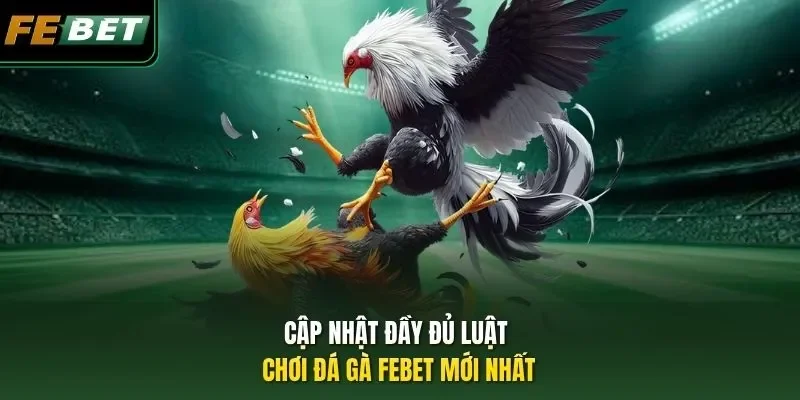 Cập nhật đầy đủ luật chơi đá gà FEBET mới nhất