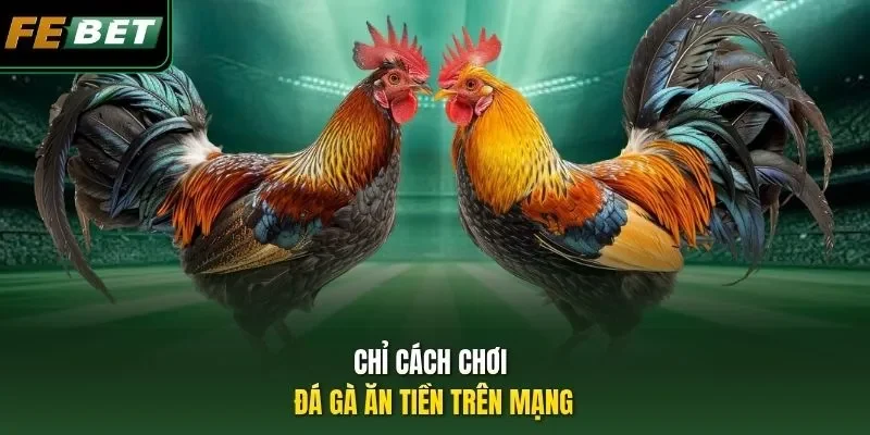 Đá Gà Ăn Tiền Trên Mạng: Đấu Trường Trực Tuyến Uy Tín Chỉ cách chơi đá gà ăn tiền trên mạng