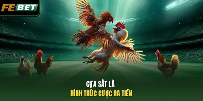 Đá Gà Ăn Tiền Trên Mạng: Đấu Trường Trực Tuyến Uy Tín Cựa sắt là hình thức cược ra tiền