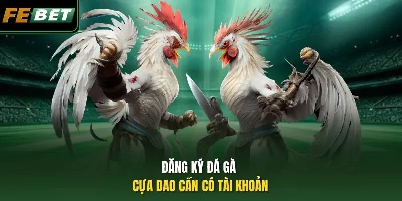 Đăng Ký Đá Gà Cựa Dao FEBET: Sân Chơi Uy Tín - Thưởng Lớn Đăng ký đá gà cựa dao cần có tài khoản
