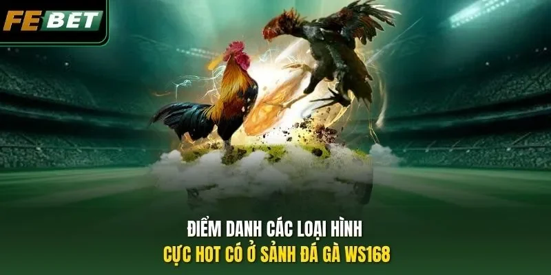 Sảnh Đá Gà WS168 - Điểm Hẹn Chọi Kê Lừng Danh Toàn Cầu 2026 Điểm danh các loại hình cực hot có ở sảnh đá gà WS168