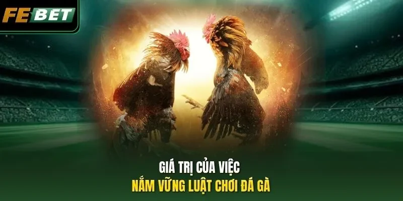Giá trị của việc nắm vững luật chơi đá gà