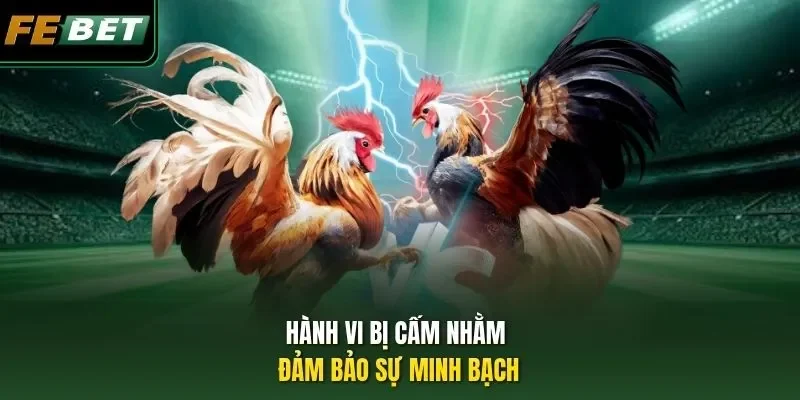 Hành vi bị cấm nhằm đảm bảo sự minh bạch