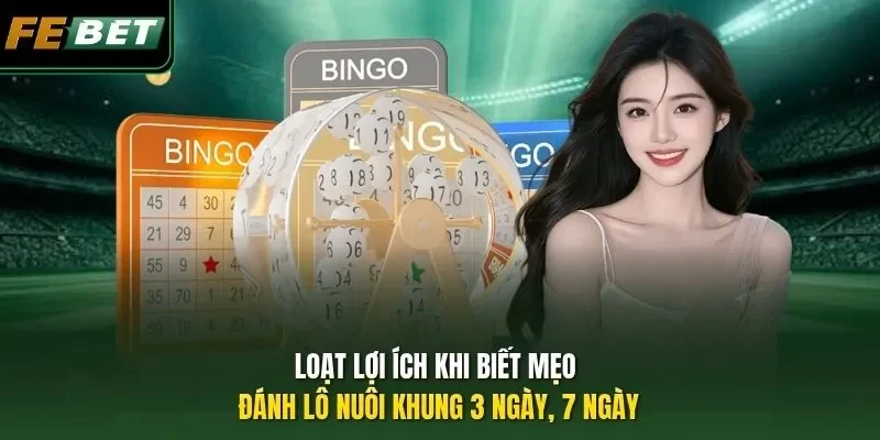Mẹo Đánh Lô Nuôi Khung 3 Ngày, 7 Ngày Dễ Thắng Đến 99,99% Loạt lợi ích khi biết mẹo đánh lô nuôi khung 3 ngày, 7 ngày