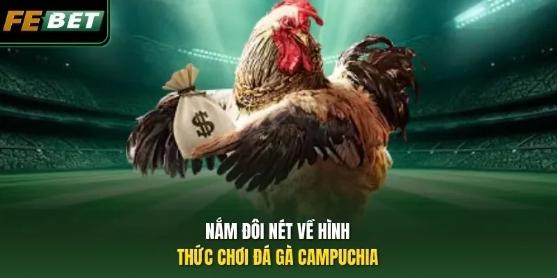 Nắm đôi nét về hình thức chơi đá gà Campuchia