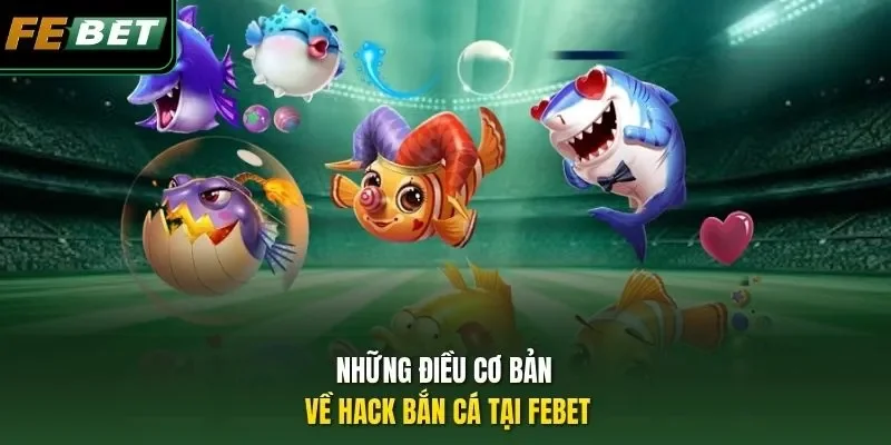 Hack Bắn Cá - Lộ Trình Đi Săn Chuyên Nghiệp Dành Cho Bạn Những điều cơ bản về hack bắn cá tại FEBET