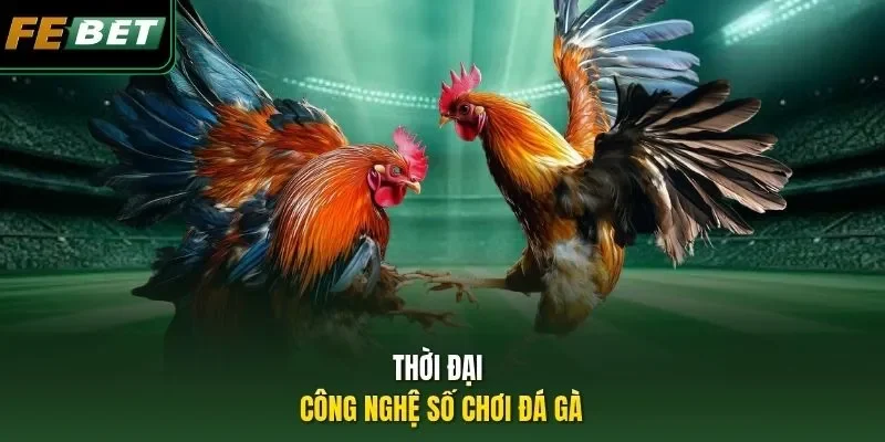 Đá Gà Ăn Tiền Trên Mạng: Đấu Trường Trực Tuyến Uy Tín Thời đại công nghệ số chơi đá gà
