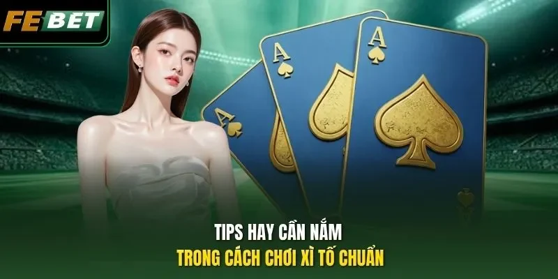 Cách Chơi Xì Tố Chuẩn Chỉnh Làm Chủ Mọi Thế Trận Đến 99% Tips hay cần nắm trong cách chơi Xì Tố chuẩn