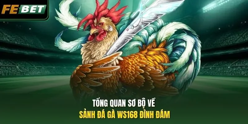 Sảnh Đá Gà WS168 - Điểm Hẹn Chọi Kê Lừng Danh Toàn Cầu 2026 Tổng quan sơ bộ về sảnh đá gà WS168 đình đám
