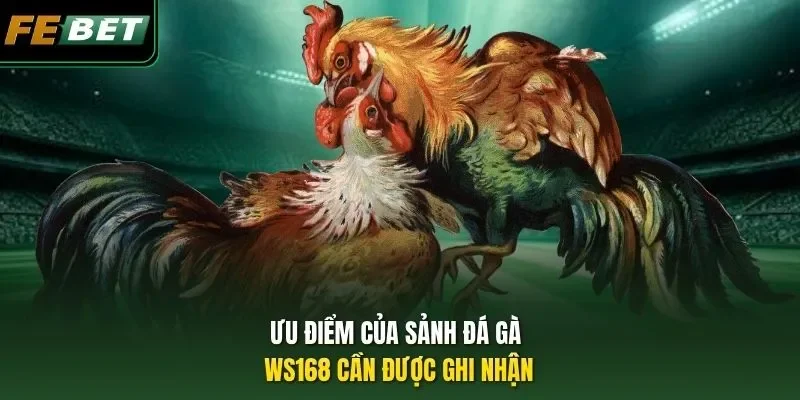 Sảnh Đá Gà WS168 - Điểm Hẹn Chọi Kê Lừng Danh Toàn Cầu 2026 Ưu điểm của sảnh đá gà WS168 cần được ghi nhận